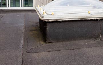 disadvantages of Georgetown flat roofs